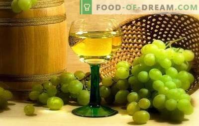 Vino de uva blanco: las principales etapas de elaboración de los vinos de frutas. Secretos de la elaboración del vino en casa, las sutilezas del vino de uva blanca