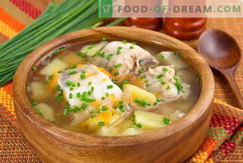 Sopa de pescado - las mejores recetas. Cómo cocinar adecuadamente y sabrosa sopa de pescado.