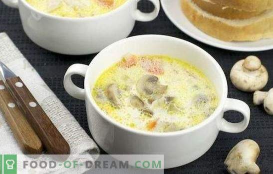 Пилешка супа со печурки - одлично прво јадење. Едноставни рецепти за пилешка супа со печурки: свежи, сушени и конзервирани