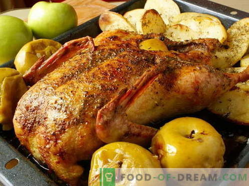Pato con manzanas - las mejores recetas. Cómo cocinar correctamente y sabroso un pato con manzanas.