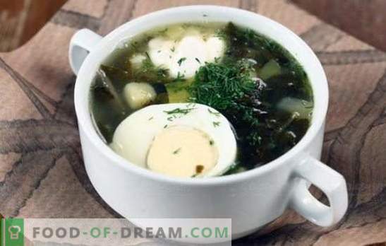 Sopa verde - carga de vitaminas y sabor brillante! Recetas de varias sopas verdes con acedera y con col, champiñones, pescado, ortigas, frijoles