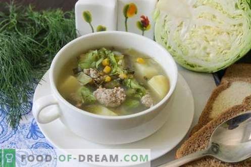 Sopa verde hecha de vegetales jóvenes - plato de verano para todos los días