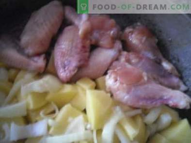 Cómo cocinar deliciosas alitas de pollo en el horno con miel y salsa de soja