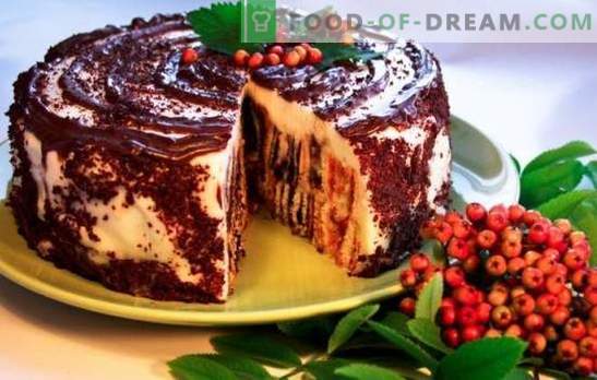 Cake Dumpling Stump: recetas paso a paso. Cómo cocinar un delicioso 