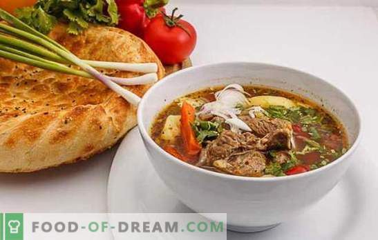 Shurpa en uzbeko es una versión ganadora de alimentos nutritivos. Cocina con sabor, deliciosa shurpa uzbeka con cordero, carne de res