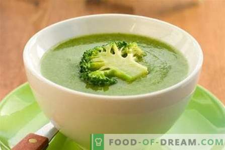 Sopa de brócoli - las mejores recetas. Cómo cocinar correctamente y sabrosa la sopa de brócoli.
