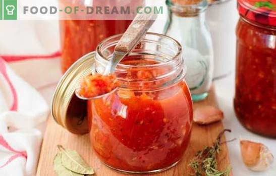 Salsa de tomates y manzanas: condimento picante para platos de pescado y carne. Cómo cocinar una salsa de tomates y manzanas con especias