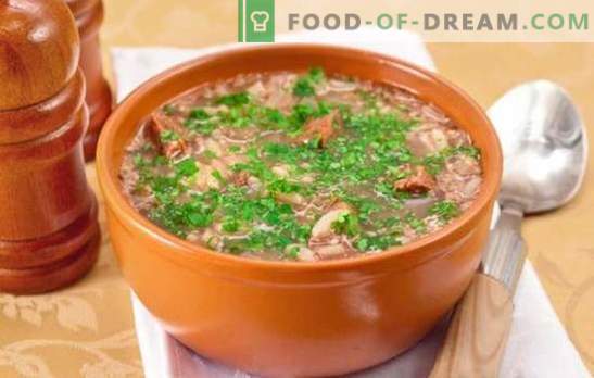 Sopa clásica de Kharcho - recetas interesantes. Cocinando sopa-kharcho clásico de ternera, cordero, cerdo