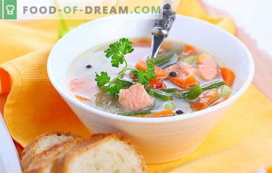 Cocinando rápidamente - sopas de salmón rosado enlatado. Recetas probadas populares para sopas de salmón rosado enlatado