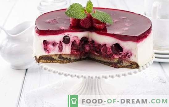 Pastel de gelatina con pasteles: ¡un sabor refrescante! Variantes de pasteles de gelatina con pasteles y capas diferentes