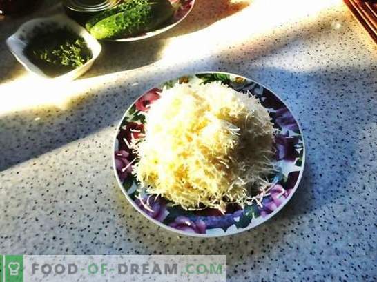 Lavash roll con queso derretido: un aperitivo económico. Receta fotográfica paso a paso de pan de pita con queso derretido: ¡sencillo y sabroso!