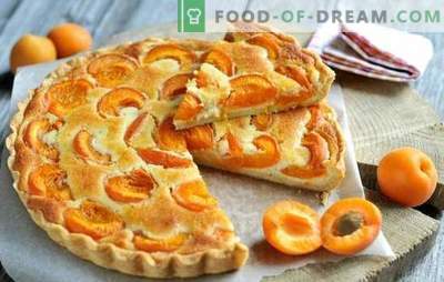 Simple apricot tart - anyone can handle it! Cooking summer apricot pies: simple recipes for everyone
