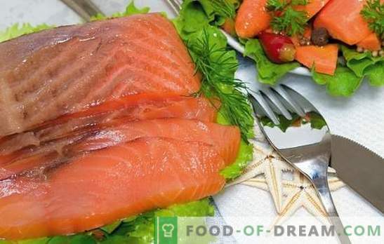 Salmón salmón en casa: manjar asequible! Recetas de salmón rosado salado y los secretos de salazón en casa