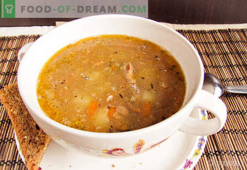 Sopa de Saurio - recetas probadas. Cómo cocinar adecuadamente y sabrosa la sopa de saurio.
