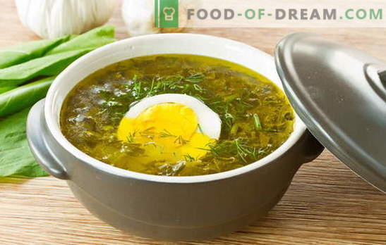 Sopa de acedera - carga de humor de verano! Recetas para sopa oxálica con huevo, albóndigas, arroz, pollo, estofado