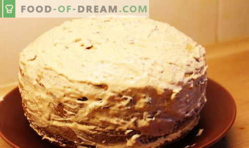 Pastel de miel - las mejores recetas. Cómo cocinar adecuadamente y deliciosamente un pastel de miel.