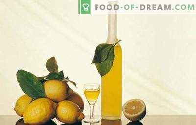Tintura de limón y secretos de su elaboración. Recetas de tintura de limón para un bar casero con un aroma refrescante de cítricos
