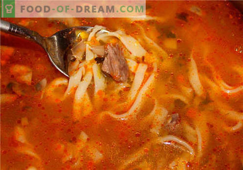 Sopa en caldo de res - las mejores recetas. Cómo cocinar adecuadamente y sabrosa la sopa en caldo de res.