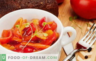 Cocinar el lecho con pasta de tomate: ¿simple o elegante? Las mejores opciones, recetas paso a paso para el lecho de pasta de tomate y verduras