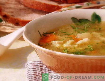 Sopa de bolas de masa hervida - las mejores recetas. Cómo cocinar correctamente y sabrosa la sopa con albóndigas.