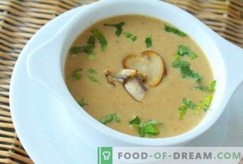 Sopa de champiñones - las mejores recetas. Cómo cocinar correctamente y sabrosa la sopa de champiñones.