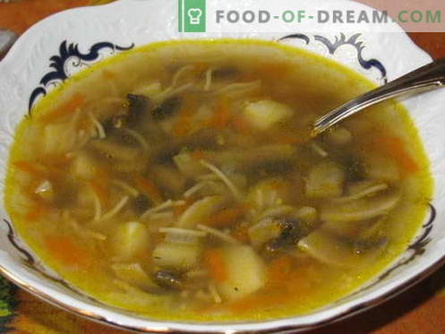 Sopa de champiñones - las mejores recetas. Cómo cocinar correctamente y sabrosa la sopa de champiñones.