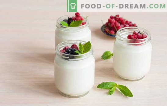 Cómo hacer yogurt en casa: tecnología. Recetas de yogurt en casa: en un fabricante de yogurt, termo, cacerola