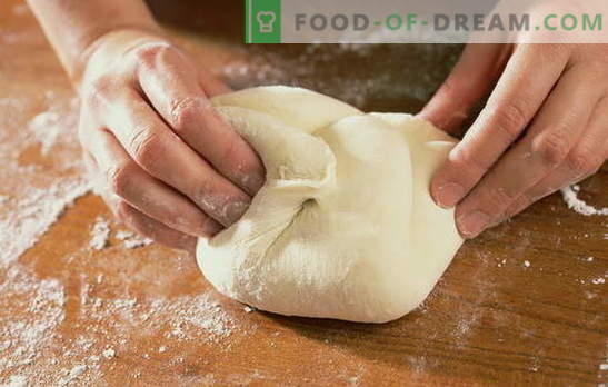 Masa de pizza en el agua: cómo cocinar y hornear el pan plano italiano más simple. Recetas de masa de pizza en el agua