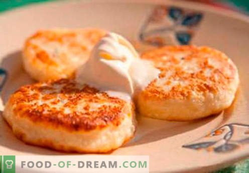 Tarta de queso sin harina - las mejores recetas. Cómo cocinar de forma rápida y sabrosa las tortas de queso sin harina.