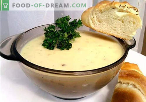 Sopa cremosa - recetas probadas. Cómo hacer de forma adecuada y deliciosa una sopa cremosa.
