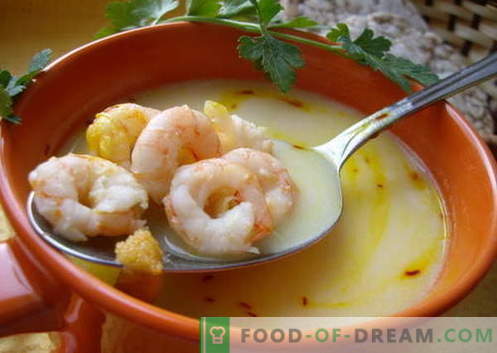 Sopa de camarones - las mejores recetas. Cómo cocinar adecuadamente y sabrosa la sopa con camarones.