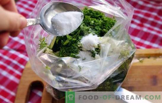 Pepinos salados en el paquete: ¡ahorrando tiempo y lugar! Recetas instantáneas de pepinos salados en el paquete!