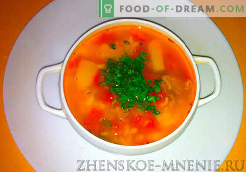 Sopa Kharcho - receta con fotos y descripción paso a paso
