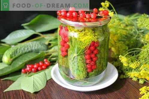 Pepinos marinados con grosellas rojas: todos los colores del verano en una lata