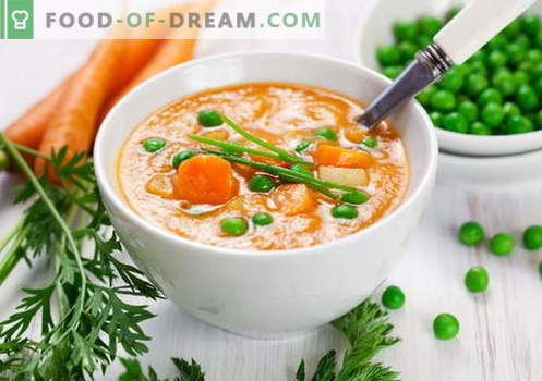 Puré de sopa - las mejores recetas. Cómo cocinar adecuadamente y deliciosamente las sopas de puré.