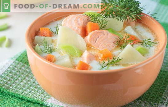 Sopa de pescado rojo, como adultos y niños. Recetas paso a paso para deliciosas sopas de pescado rojo: salmón, salmón, salmón rosado