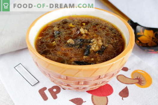 Sopa de champiñones deshidratada - las mejores recetas. Cómo cocinar adecuadamente y sabrosa la sopa de champiñones secos.