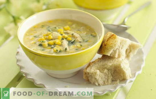 La sopa de maíz es un ingrediente favorito en un diseño inusual. Sopas interesantes con maíz enlatado