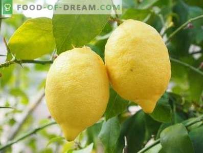 Limones: Beneficios y daños