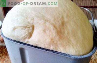 Pâte pour les blancs dans la machine à pain
